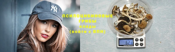 спиды Верея