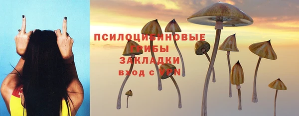 спиды Верея