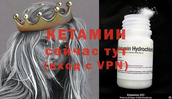спиды Верея