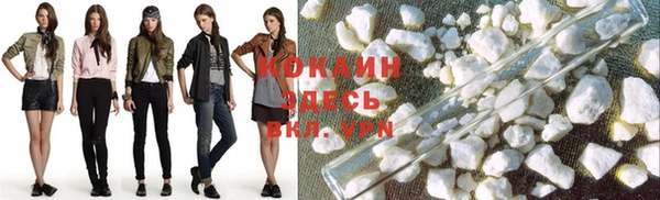 спиды Верея