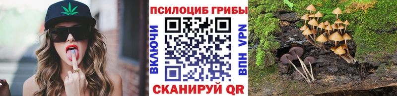 Галлюциногенные грибы Magic Shrooms  Тихвин 